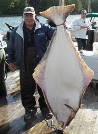 130 lb Halibut