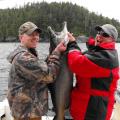 43 lb King or Spring Salmon